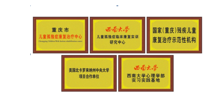 重庆市儿童孤独症康复治疗中心荣誉