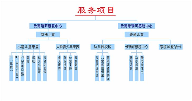 云南迪萨康复中心