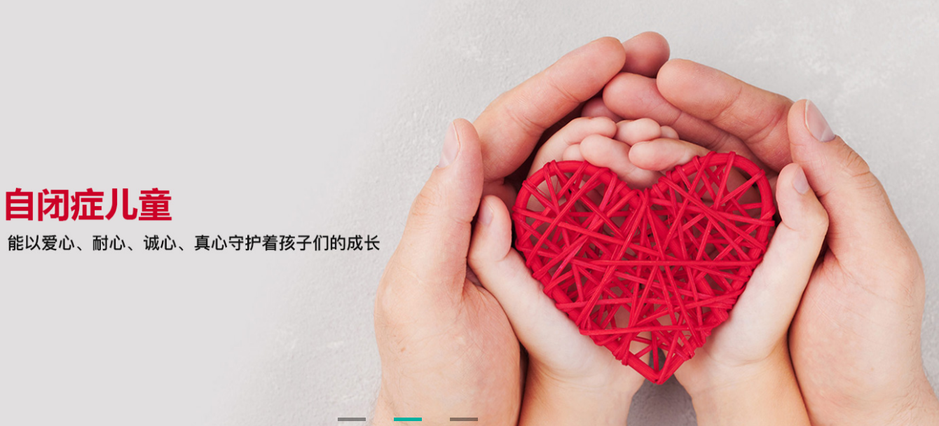 广州牵牛花