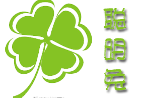 青岛聪明兔