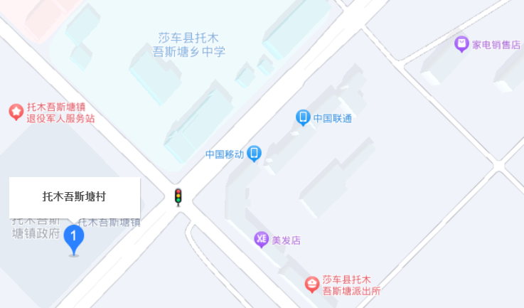莎车县残疾人事业保障中心位置
