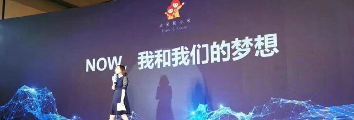 大米和小米愿景