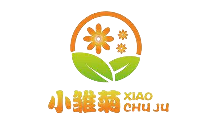 苏州小雏菊